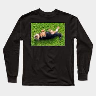 Playful Dog Long Sleeve T-Shirt